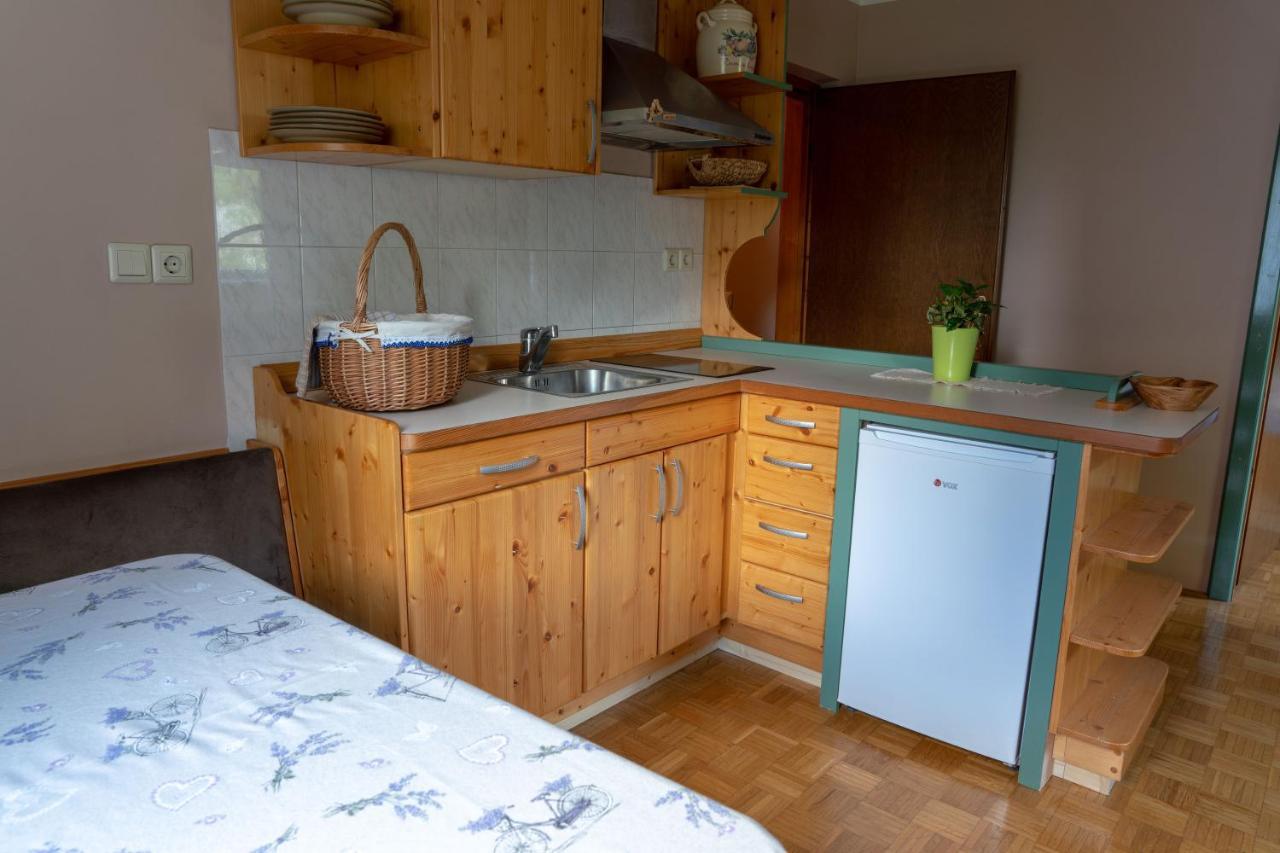 Apartments Maja By The River Bohinj Zewnętrze zdjęcie